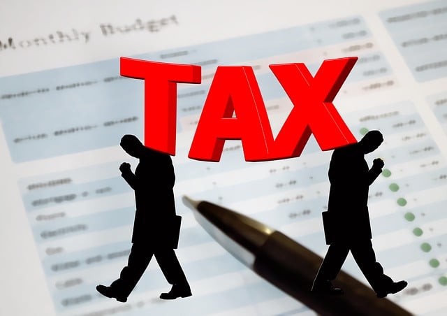 Tax Software